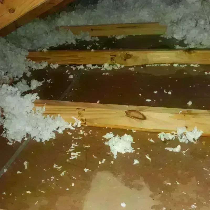 Attic Water Damage in Slaughterville, OK